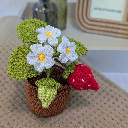 Handgehäkelte Erdbeerpflanze – Süße Erinnerung zum Verschenken - Maloah Handmade Design